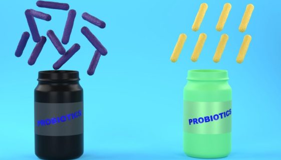 How to Choose a Quality Probiotic Supplement