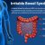 Irritable Bowel Syndrome (IBS) Infographic